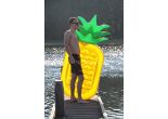 Opblaasbare ananas